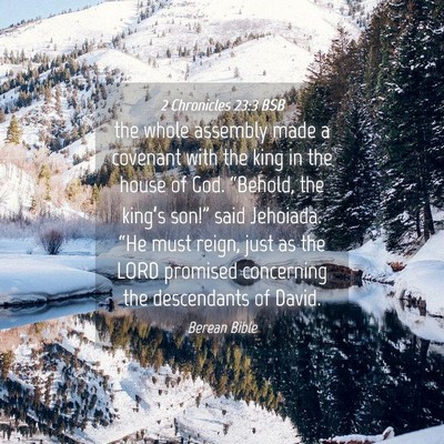 Picture 04 - 2 Chronicles 23:3 BSB - the whole assembly made a covenant with the king - Bible Verse Picture
