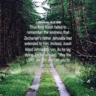 Picture 04 - 2 Chronicles 24:22 BSB - Thus King Joash failed to remember the kindness - Bible Verse Picture