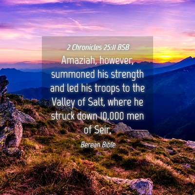Picture 04 - 2 Chronicles 25:11 BSB - Amaziah, however, summoned his strength and led - Bible Verse Picture