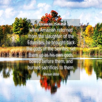 Picture 04 - 2 Chronicles 25:14 BSB - When Amaziah returned from the slaughter of the - Bible Verse Picture