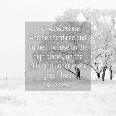 Picture 04 - 2 Chronicles 28:4 BSB - And he sacrificed and burned incense on the high - Bible Verse Picture
