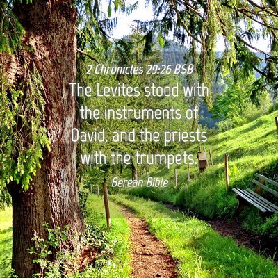 Picture 04 - 2 Chronicles 29:26 BSB - The Levites stood with the instruments of David, - Bible Verse Picture
