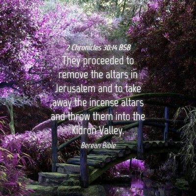 Picture 04 - 2 Chronicles 30:14 BSB - They proceeded to remove the altars in Jerusalem - Bible Verse Picture