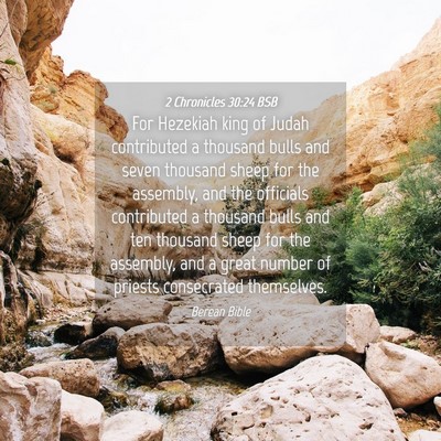 Picture 04 - 2 Chronicles 30:24 BSB - For Hezekiah king of Judah contributed a thousand - Bible Verse Picture