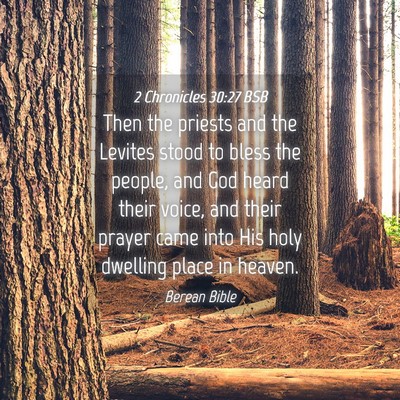 Picture 04 - 2 Chronicles 30:27 BSB - Then the priests and the Levites stood to bless - Bible Verse Picture