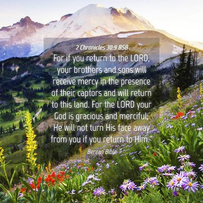 Picture 04 - 2 Chronicles 30:9 BSB - For if you return to the LORD, your brothers and - Bible Verse Picture
