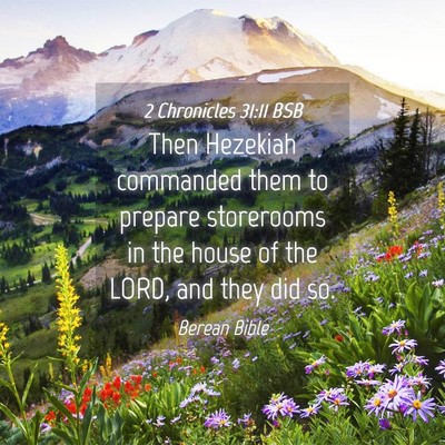 Picture 04 - 2 Chronicles 31:11 BSB - Then Hezekiah commanded them to prepare - Bible Verse Picture