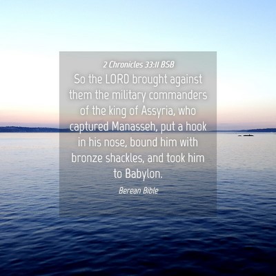 Picture 04 - 2 Chronicles 33:11 BSB - So the LORD brought against them the military - Bible Verse Picture