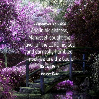 Picture 04 - 2 Chronicles 33:12 BSB - And in his distress, Manasseh sought the favor of - Bible Verse Picture