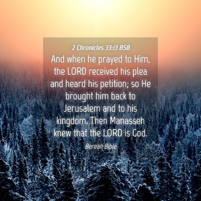 Picture 04 - 2 Chronicles 33:13 BSB - And when he prayed to Him, the LORD received his - Bible Verse Picture