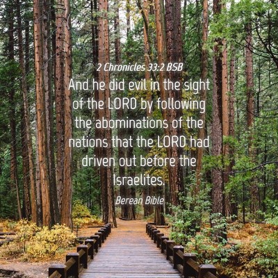 Picture 04 - 2 Chronicles 33:2 BSB - And he did evil in the sight of the LORD by - Bible Verse Picture