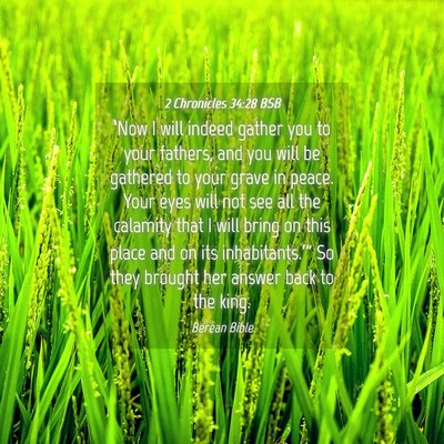 Picture 04 - 2 Chronicles 34:28 BSB - ‘Now I will indeed gather you to your fathers, - Bible Verse Picture