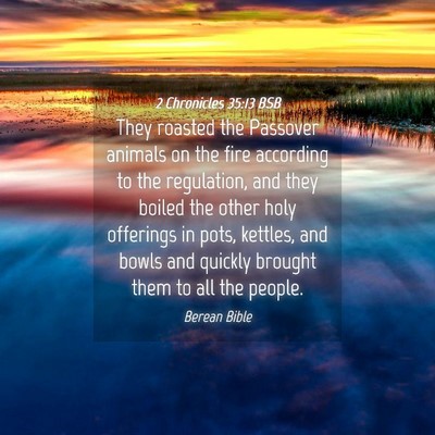 Picture 04 - 2 Chronicles 35:13 BSB - They roasted the Passover animals on the fire - Bible Verse Picture