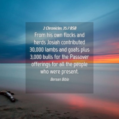 Picture 04 - 2 Chronicles 35:7 BSB - From his own flocks and herds Josiah contributed - Bible Verse Picture