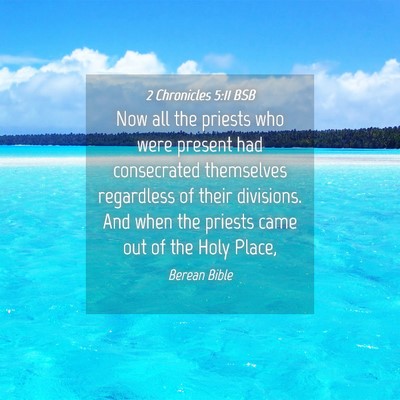Picture 04 - 2 Chronicles 5:11 BSB - Now all the priests who were present had - Bible Verse Picture