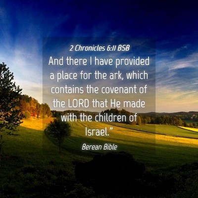 Picture 04 - 2 Chronicles 6:11 BSB - And there I have provided a place for the ark, - Bible Verse Picture