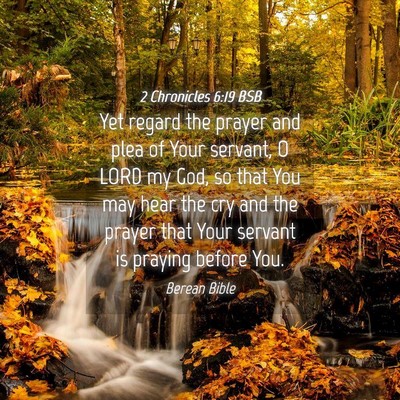 Picture 04 - 2 Chronicles 6:19 BSB - Yet regard the prayer and plea of Your servant, O - Bible Verse Picture