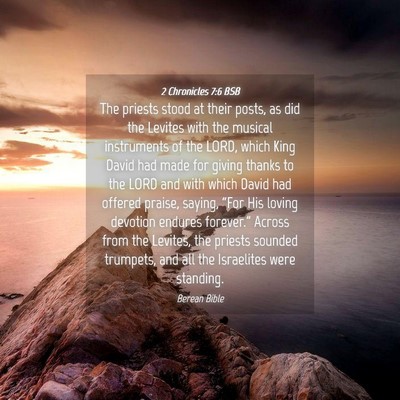 Picture 04 - 2 Chronicles 7:6 BSB - The priests stood at their posts, as did the - Bible Verse Picture