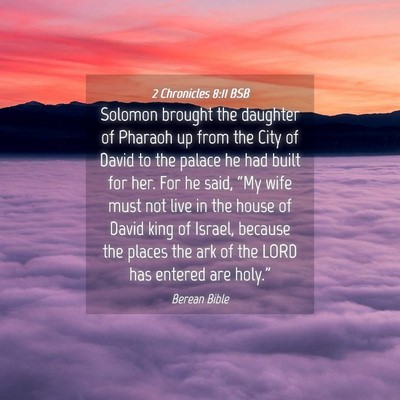 Picture 04 - 2 Chronicles 8:11 BSB - Solomon brought the daughter of Pharaoh up from - Bible Verse Picture