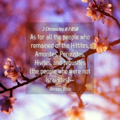 Picture 04 - 2 Chronicles 8:7 BSB - As for all the people who remained of the - Bible Verse Picture
