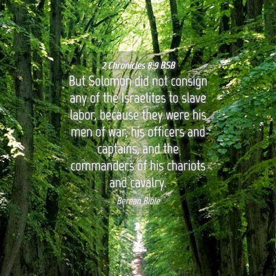 Picture 04 - 2 Chronicles 8:9 BSB - But Solomon did not consign any of the Israelites - Bible Verse Picture