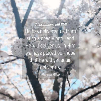 Picture 04 - 2 Corinthians 1:10 BSB - He has delivered us from such a deadly peril, and - Bible Verse Picture