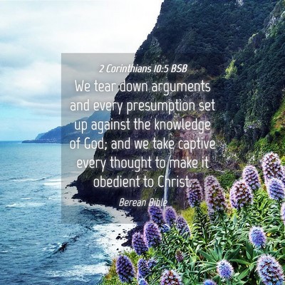 Picture 04 - 2 Corinthians 10:5 BSB - We tear down arguments and every presumption set - Bible Verse Picture
