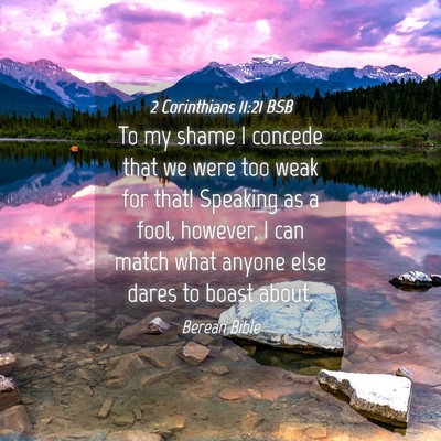 Picture 04 - 2 Corinthians 11:21 BSB - To my shame I concede that we were too weak for - Bible Verse Picture