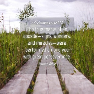 Picture 04 - 2 Corinthians 12:12 BSB - The true marks of an apostle—signs, wonders, - Bible Verse Picture