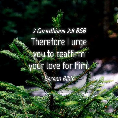 Picture 04 - 2 Corinthians 2:8 BSB - Therefore I urge you to reaffirm your love for - Bible Verse Picture