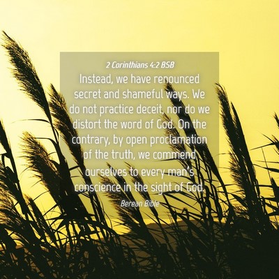 Picture 04 - 2 Corinthians 4:2 BSB - Instead, we have renounced secret and shameful - Bible Verse Picture