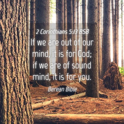 Picture 04 - 2 Corinthians 5:13 BSB - If we are out of our mind, it is for God; if we - Bible Verse Picture