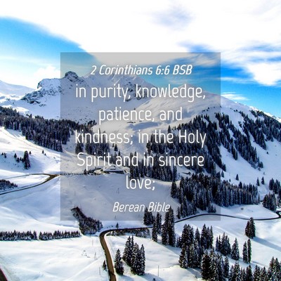 Picture 04 - 2 Corinthians 6:6 BSB - in purity, knowledge, patience, and kindness; in - Bible Verse Picture