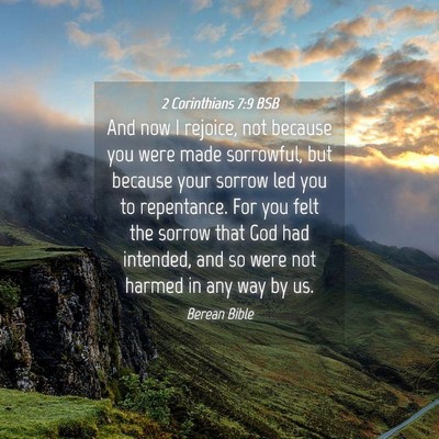 Picture 04 - 2 Corinthians 7:9 BSB - And now I rejoice, not because you were made - Bible Verse Picture