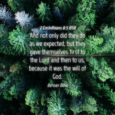 Picture 04 - 2 Corinthians 8:5 BSB - And not only did they do as we expected, but they - Bible Verse Picture