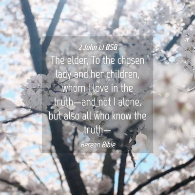 Picture 04 - 2 John 1:1 BSB - The elder, To the chosen lady and her children, - Bible Verse Picture