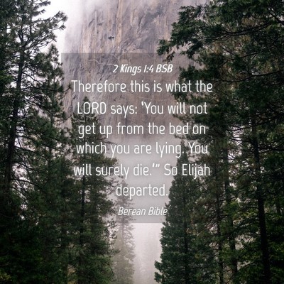 Picture 04 - 2 Kings 1:4 BSB - Therefore this is what the LORD says: ‘You will - Bible Verse Picture