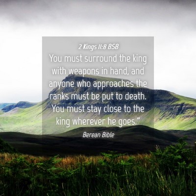 Picture 04 - 2 Kings 11:8 BSB - You must surround the king with weapons in hand, - Bible Verse Picture