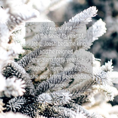 Picture 04 - 2 Kings 12:1 BSB - In the seventh year of Jehu, Joash became king, - Bible Verse Picture