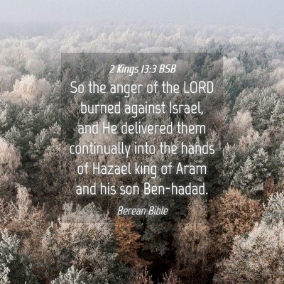 Picture 04 - 2 Kings 13:3 BSB - So the anger of the LORD burned against Israel, - Bible Verse Picture