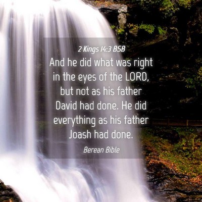 Picture 04 - 2 Kings 14:3 BSB - And he did what was right in the eyes of the - Bible Verse Picture