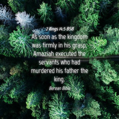 Picture 04 - 2 Kings 14:5 BSB - As soon as the kingdom was firmly in his grasp, - Bible Verse Picture