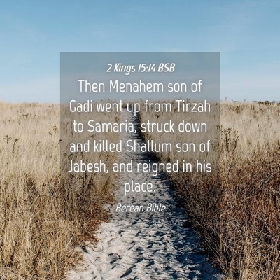 Picture 04 - 2 Kings 15:14 BSB - Then Menahem son of Gadi went up from Tirzah to - Bible Verse Picture