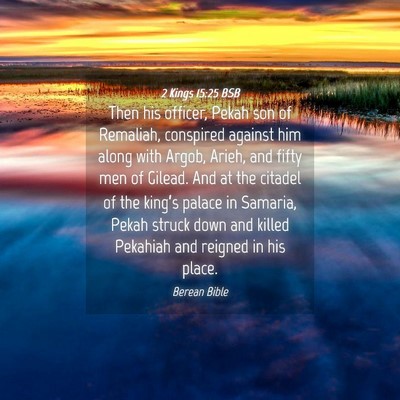 Picture 04 - 2 Kings 15:25 BSB - Then his officer, Pekah son of Remaliah, - Bible Verse Picture