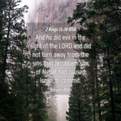 Picture 04 - 2 Kings 15:28 BSB - And he did evil in the sight of the LORD and did - Bible Verse Picture
