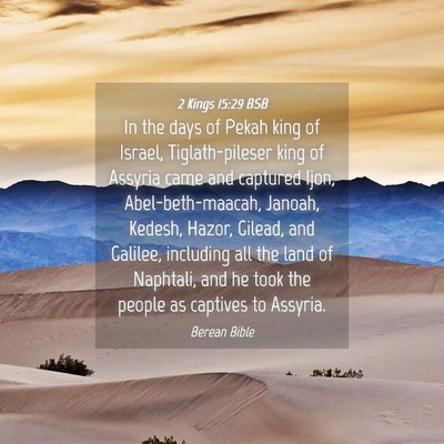 Picture 04 - 2 Kings 15:29 BSB - In the days of Pekah king of Israel, - Bible Verse Picture