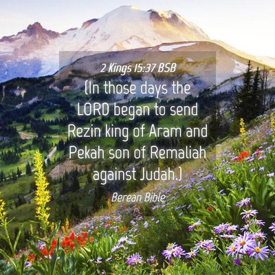 Picture 04 - 2 Kings 15:37 BSB - (In those days the LORD began to send Rezin king - Bible Verse Picture