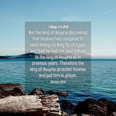 Picture 04 - 2 Kings 17:4 BSB - But the king of Assyria discovered that Hoshea - Bible Verse Picture