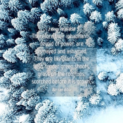 Picture 04 - 2 Kings 19:26 BSB - Therefore their inhabitants, devoid of power, are - Bible Verse Picture