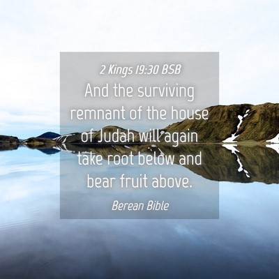 Picture 04 - 2 Kings 19:30 BSB - And the surviving remnant of the house of Judah - Bible Verse Picture